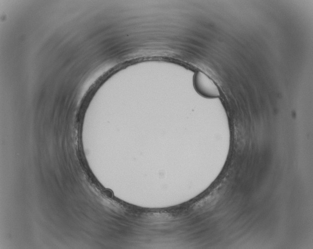 X0000068731119200605262019