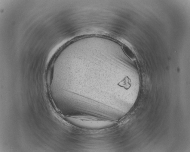 X0000068731120200605262019