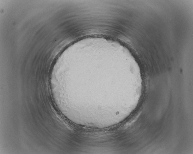 X0000068731121200605262019