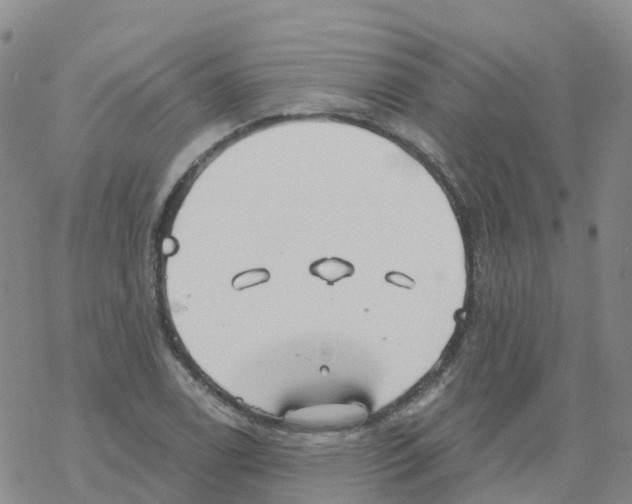 X0000068731122200605262019