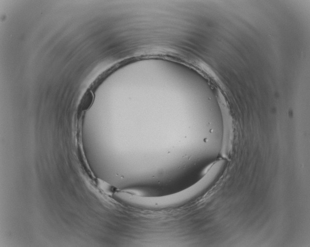 X0000068731124200605262019