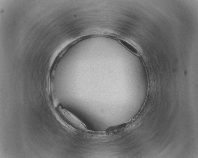 X0000068731128200605262019