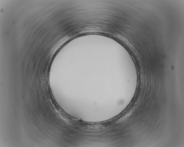 X0000068731129200605262019