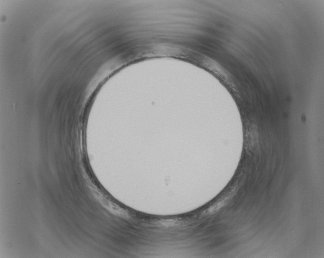 X0000068731130200605262019