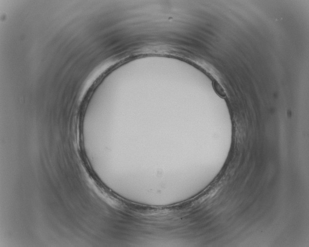 X0000068731131200605262019