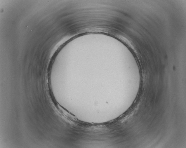 X0000068731133200605262019