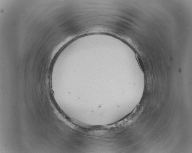 X0000068731134200605262019