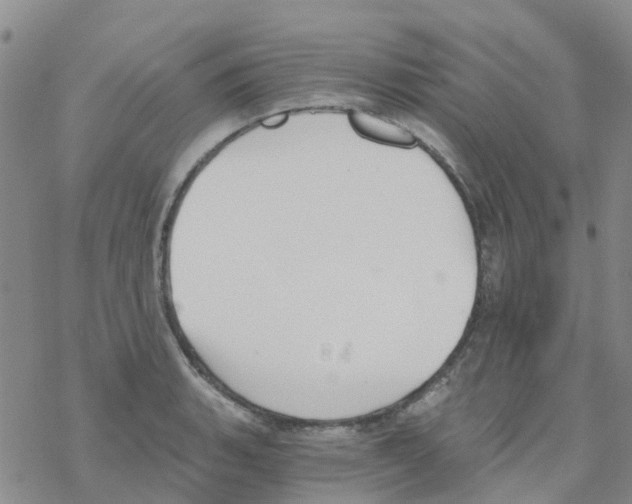 X0000068731135200605262019