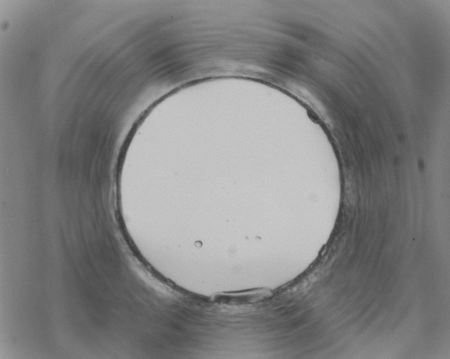 X0000068731136200605262019