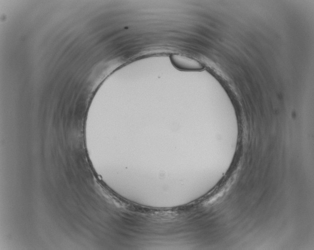 X0000068731137200605262019