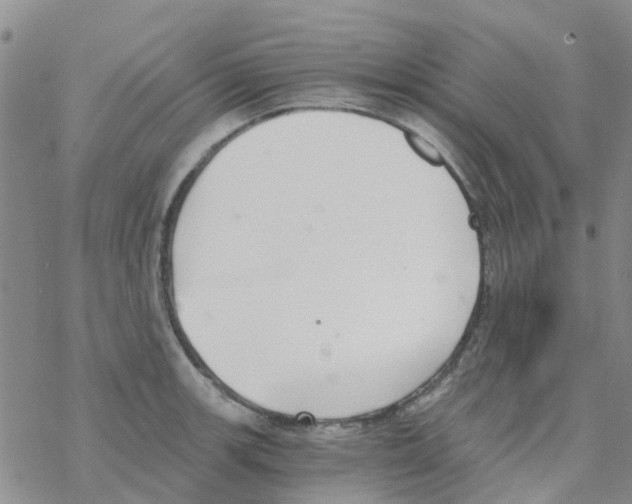 X0000068731139200605262019