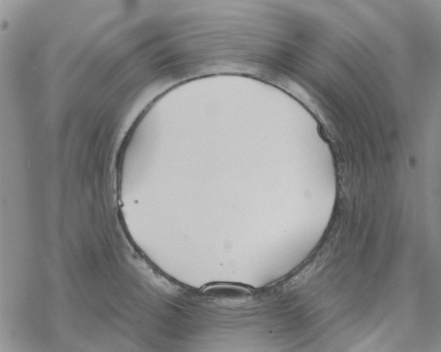 X0000068731140200605262019