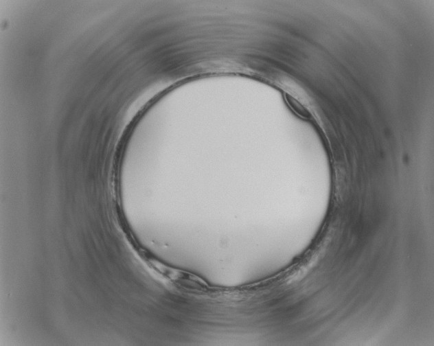 X0000068731141200605262019