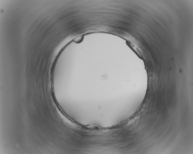 X0000068731143200605262019