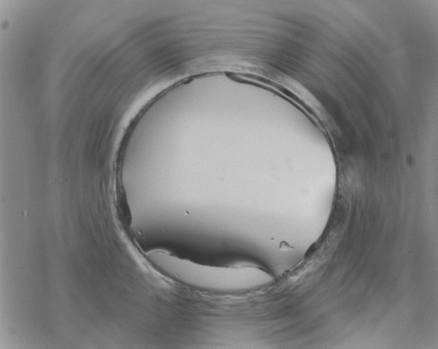 X0000068731144200605262019