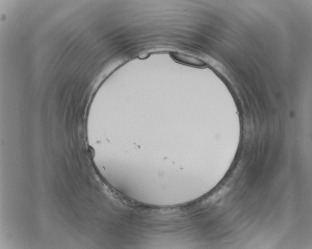 X0000068731145200605262019