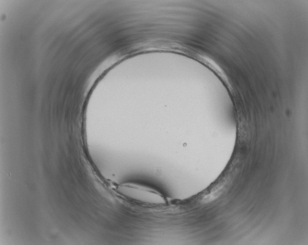 X0000068731146200605262019