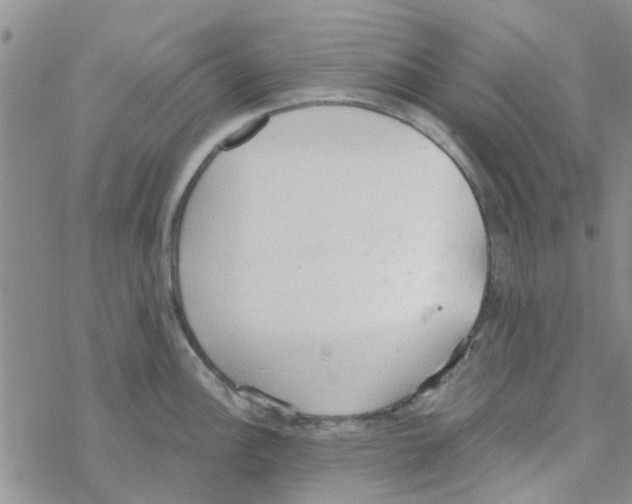 X0000068731148200605262019