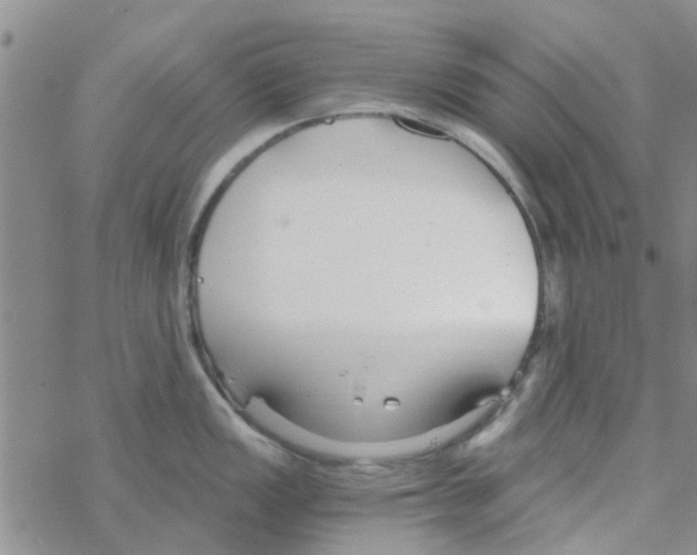 X0000068731149200605262019