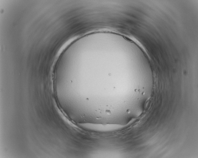 X0000068731151200605262019