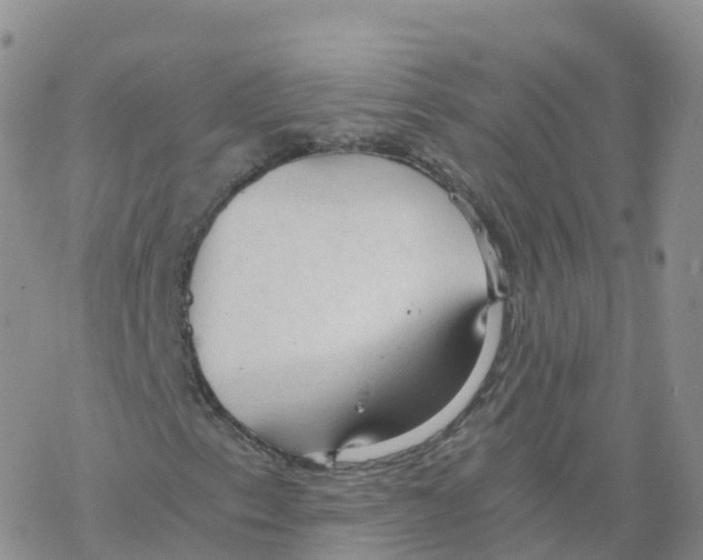 X0000068731153200605262018