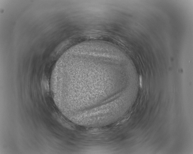 X0000068731155200605262018