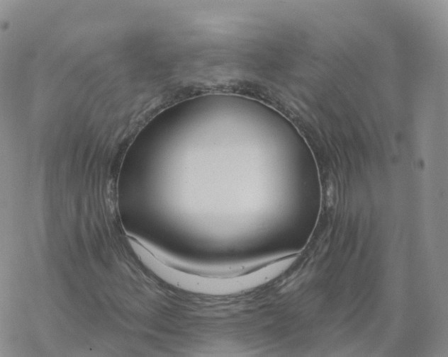 X0000068731156200605262018