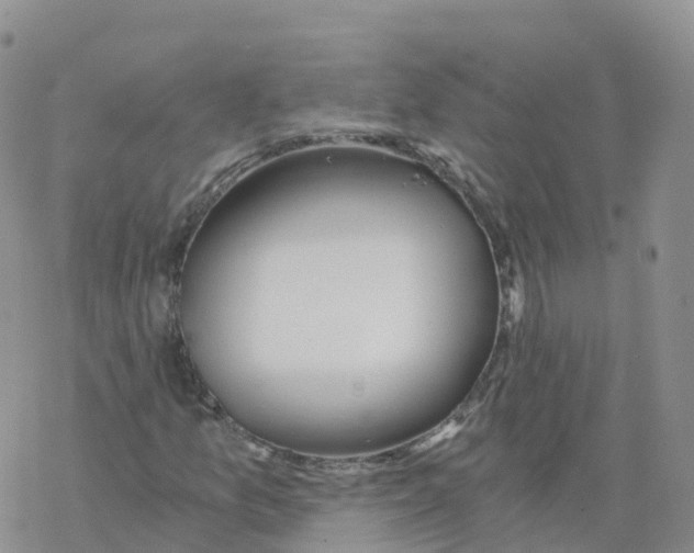 X0000068731157200605262018