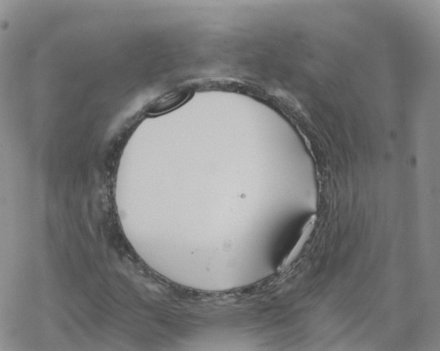 X0000068731159200605262018