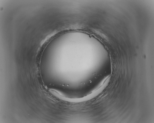 X0000068731160200605262018