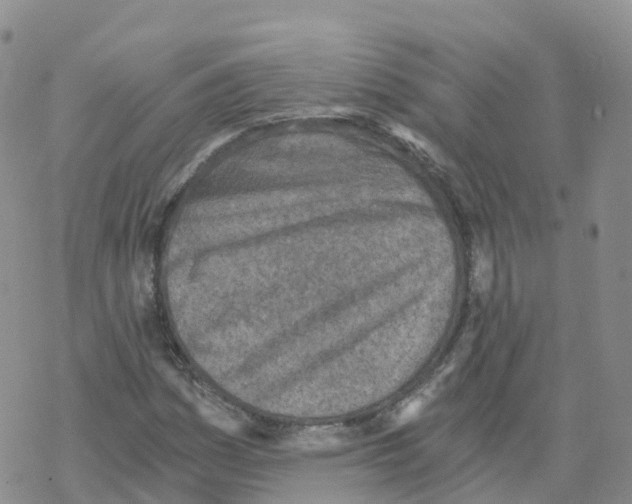 X0000068731161200605262018