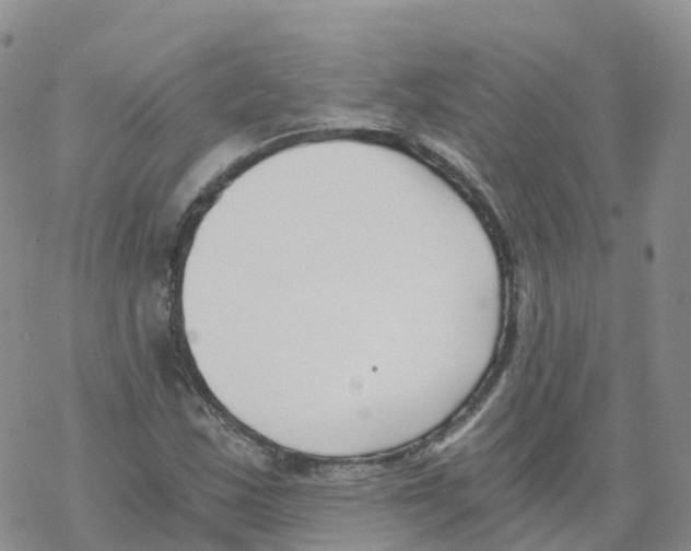 X0000068731163200605262018