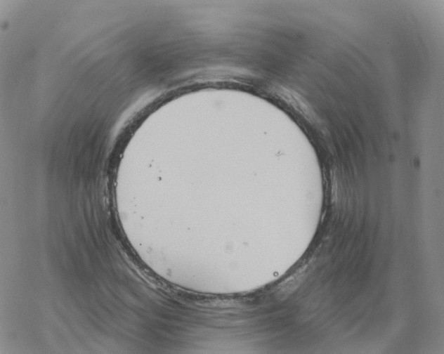 X0000068731164200605262018