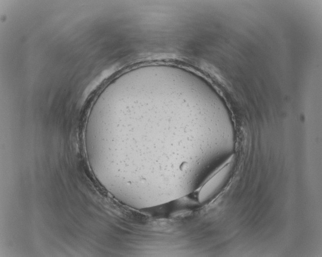 X0000068731165200605262018