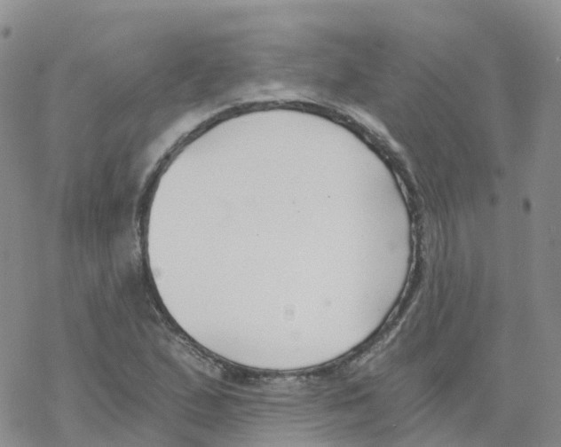 X0000068731167200605262018