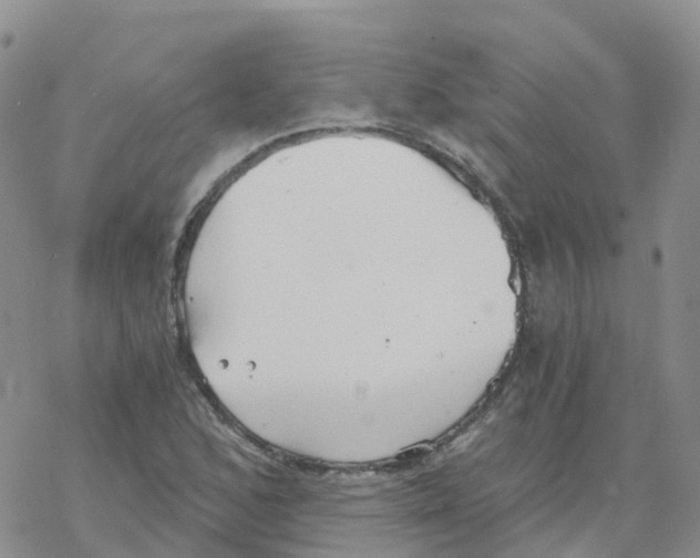 X0000068731168200605262018