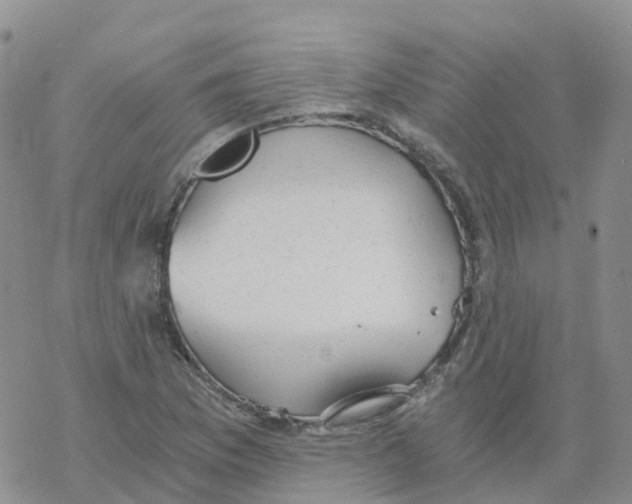 X0000068731169200605262018