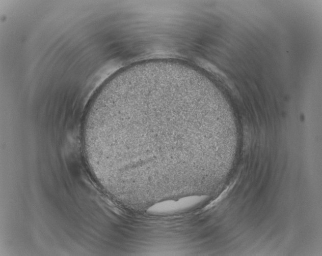 X0000068731170200605262018