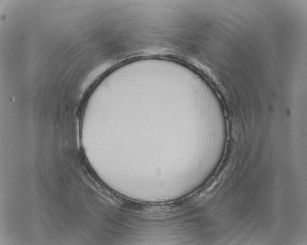 X0000068731171200605262018