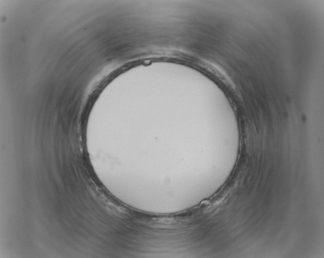 X0000068731172200605262018