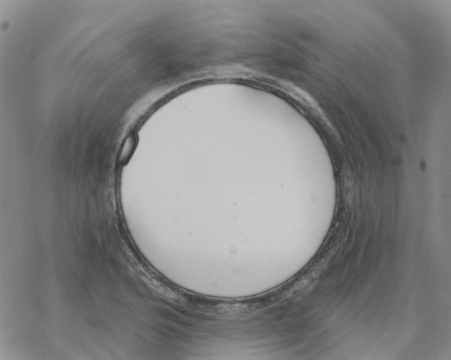 X0000068731176200605262018