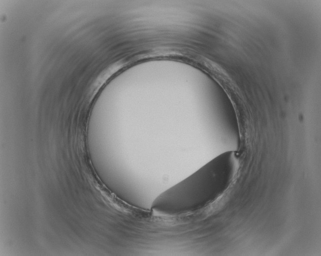 X0000068731177200605262018