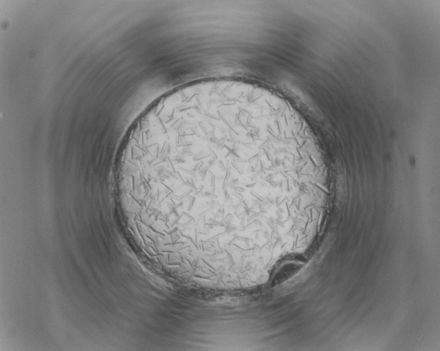 X0000068731178200605262018