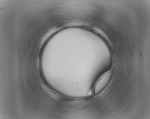 X0000068731179200605262018