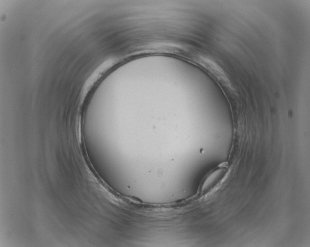 X0000068731180200605262018