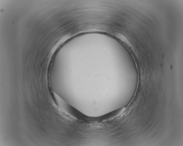 X0000068731181200605262018