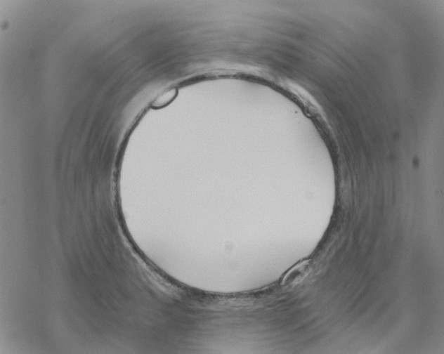 X0000068731183200605262018