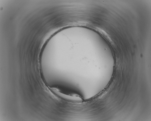 X0000068731184200605262018