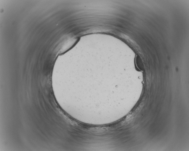 X0000068731185200605262018