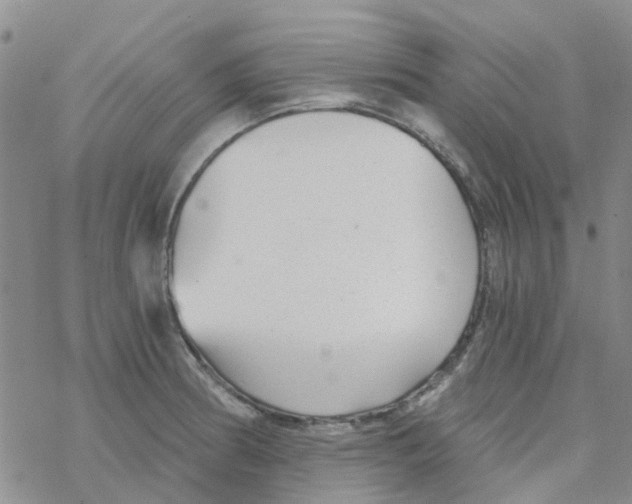 X0000068731186200605262018